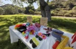 A sunny outdoor photo booth prop table featuring colorful hats, floral leis, and playful sunglasses set up at an Orange County park.
